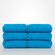 13" x 13" - 100% Turkish Cotton Turquoise Terry Washcloth- 12 Pack (Dozen)-Robemart.com 13" x 13" - 100% Turkish Cotton Turquoise Terry Washcloth- 12 Pack (Dozen)-Robemart.com